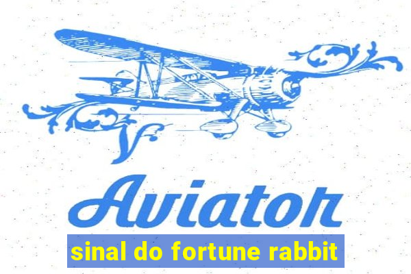 sinal do fortune rabbit