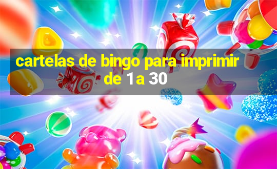 cartelas de bingo para imprimir de 1 a 30