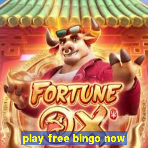 play free bingo now