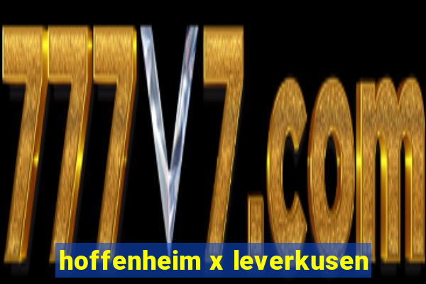 hoffenheim x leverkusen