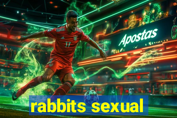 rabbits sexual