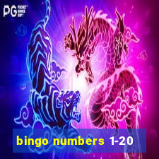 bingo numbers 1-20