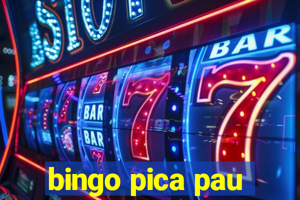 bingo pica pau