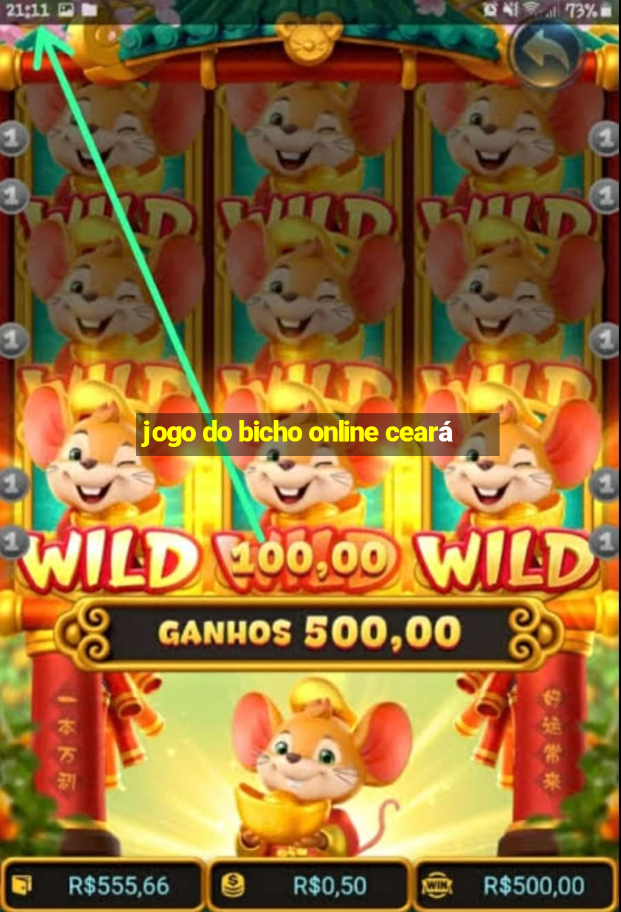 jogo do bicho online ceará