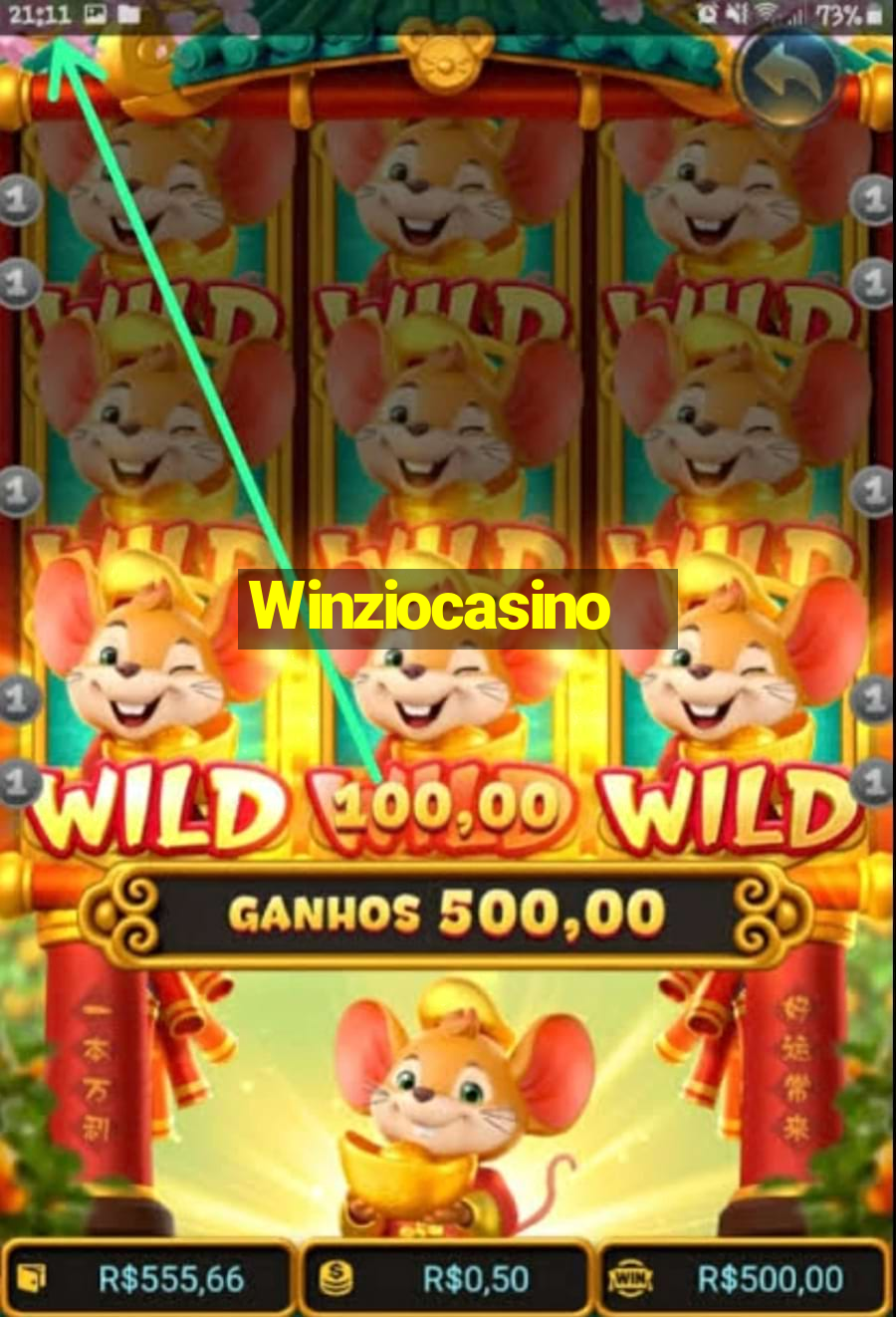 Winziocasino