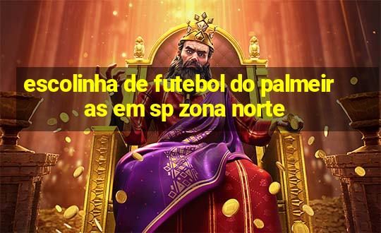 escolinha de futebol do palmeiras em sp zona norte