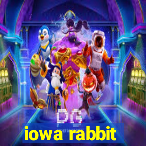 iowa rabbit