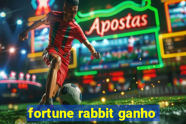 fortune rabbit ganho