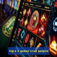 tigre x godoy cruz palpite