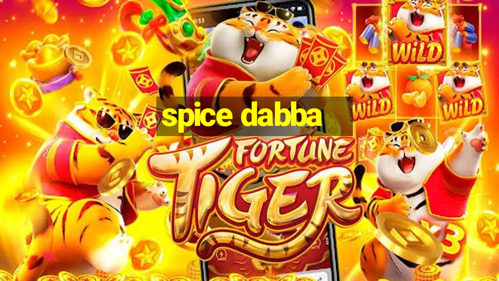 spice dabba