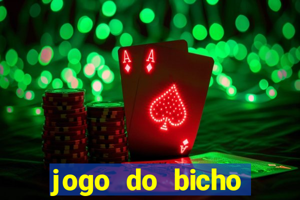 jogo do bicho crash mines