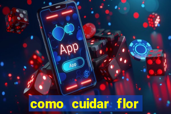 como cuidar flor da fortuna