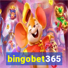 bingobet365