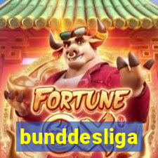 bunddesliga