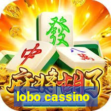 lobo cassino