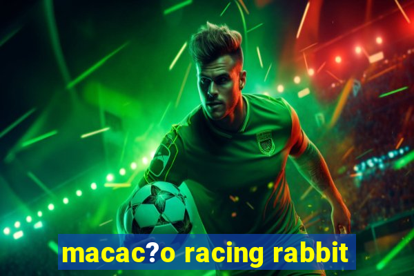 macac?o racing rabbit