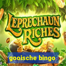 gooische bingo