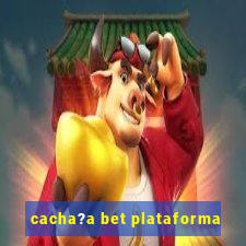 cacha?a bet plataforma