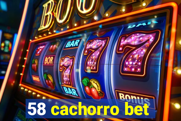 58 cachorro bet