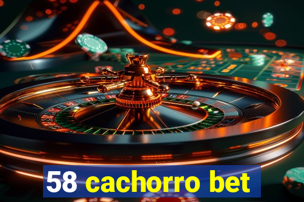 58 cachorro bet