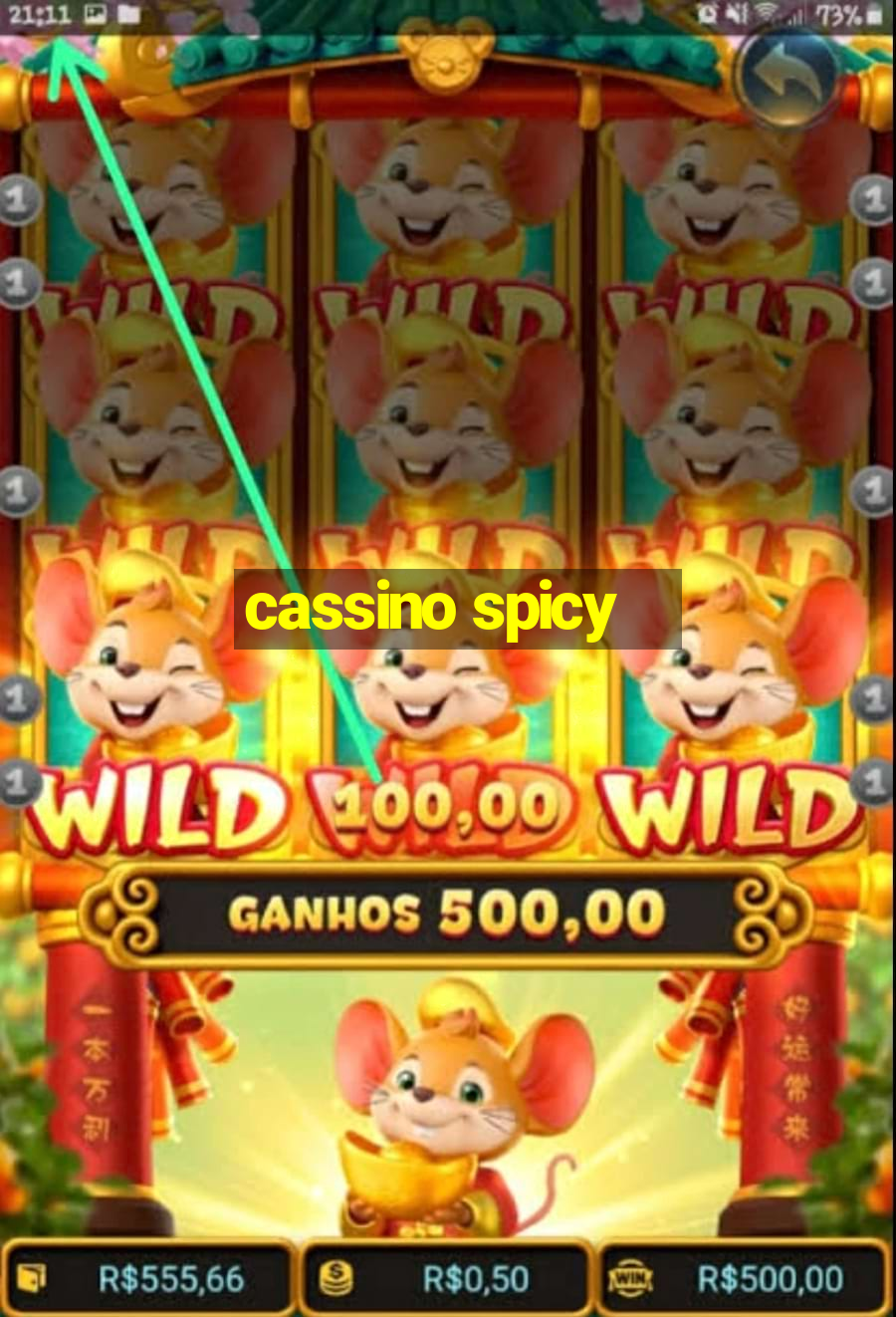 cassino spicy