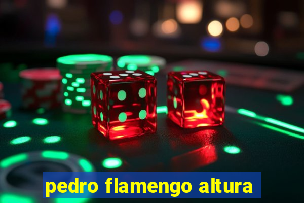 pedro flamengo altura