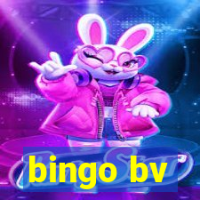 bingo bv