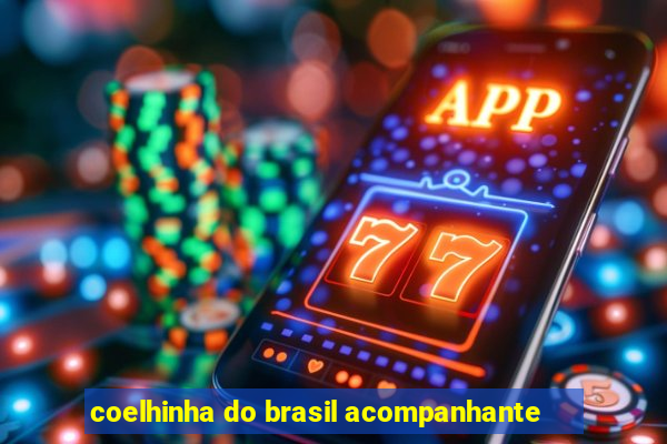 coelhinha do brasil acompanhante