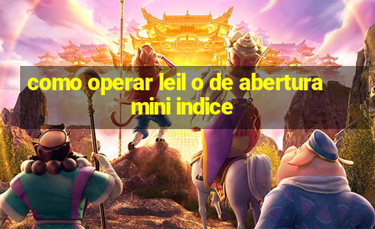 como operar leil o de abertura mini indice