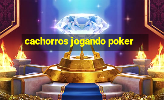 cachorros jogando poker