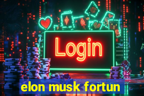 elon musk fortun