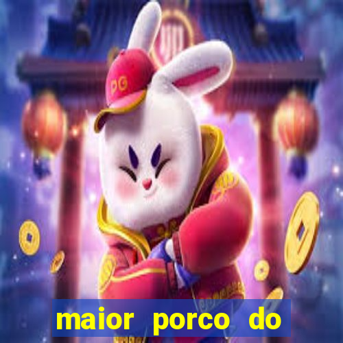 maior porco do mundo fotos