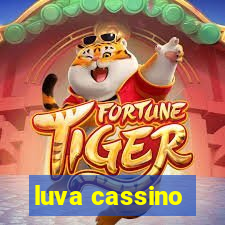 luva cassino