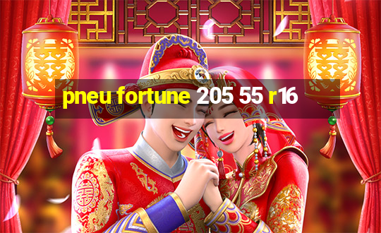 pneu fortune 205 55 r16