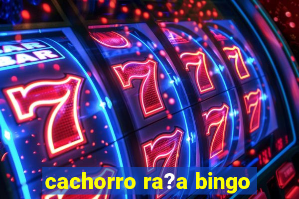 cachorro ra?a bingo