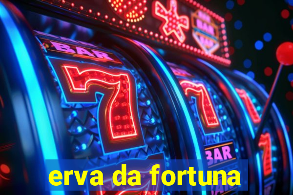 erva da fortuna