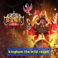 kingham the wild rabbit