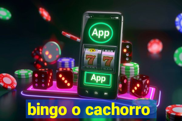 bingo o cachorro