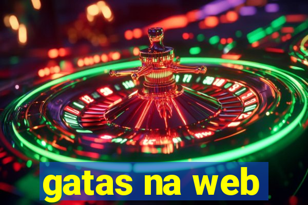 gatas na web