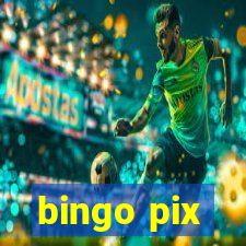 bingo pix